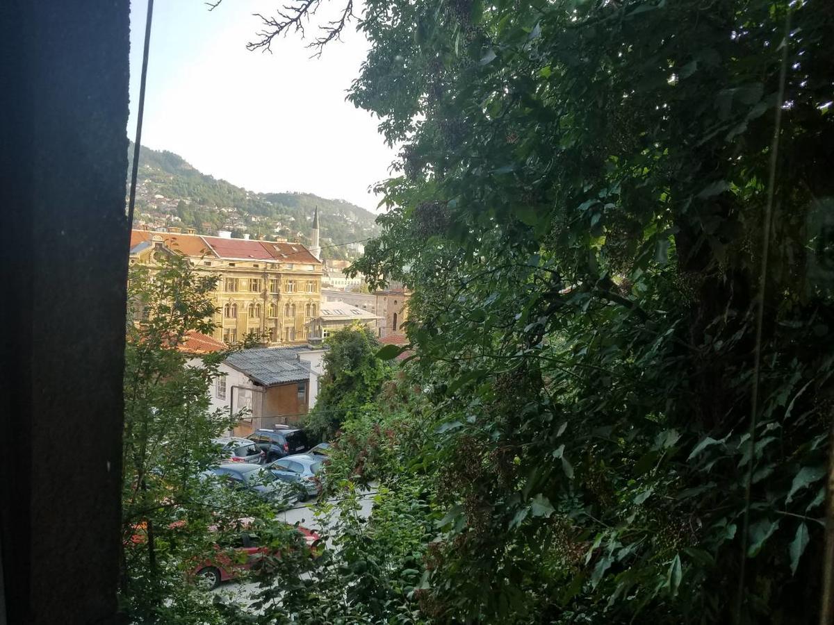 Curovac View Hotel SJJ Buitenkant foto